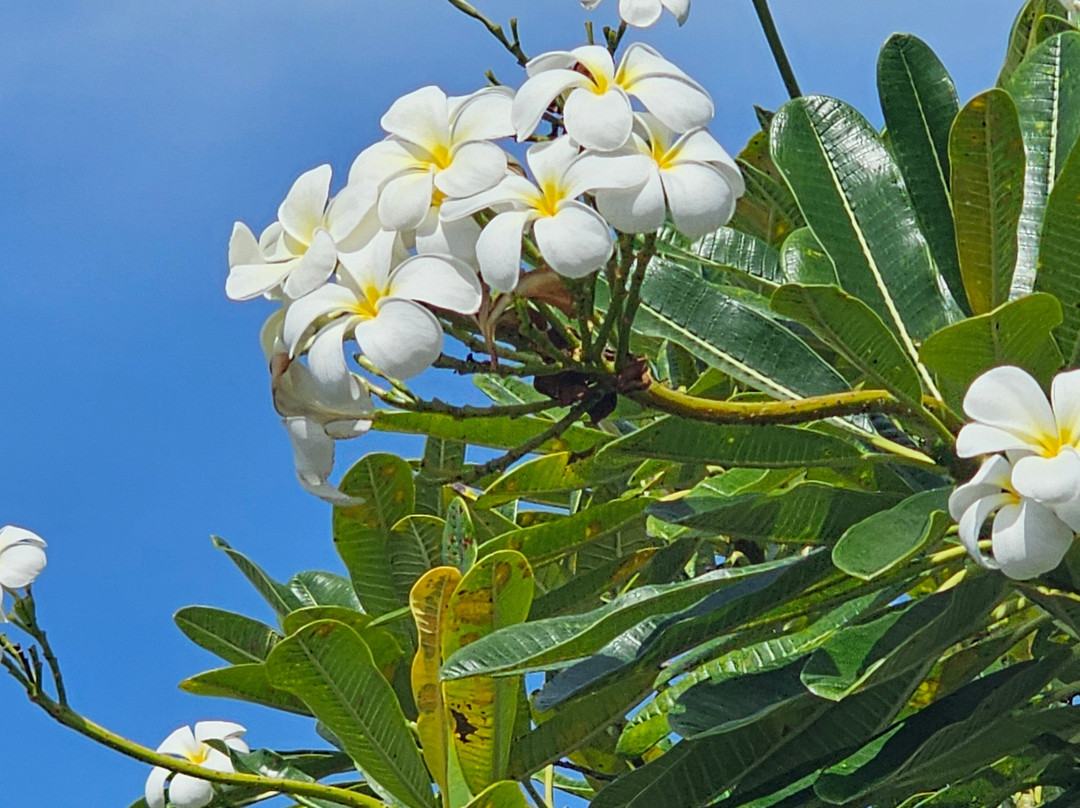 斯宾塞海滨公园-卡慕也拉必去景点