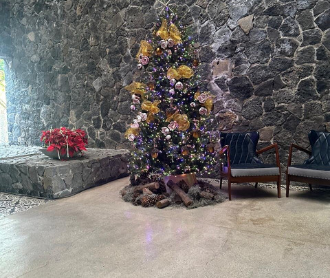 Huayacán Cuernavaca Curamoria Collection主图