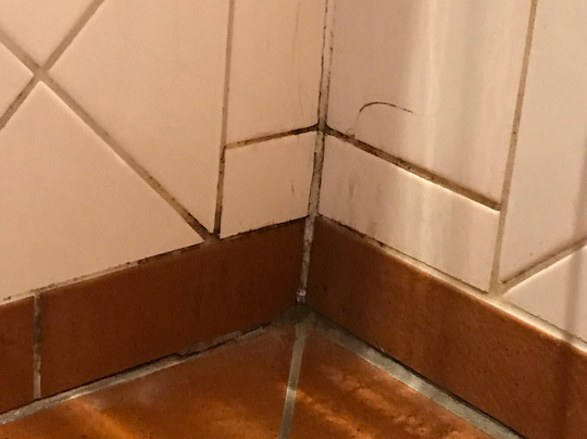 斯科尼霍夫酒店主图