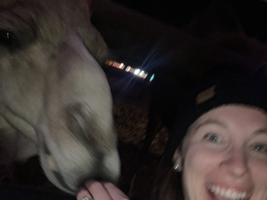 Hollywild Animal Park-斯帕坦堡必去景点