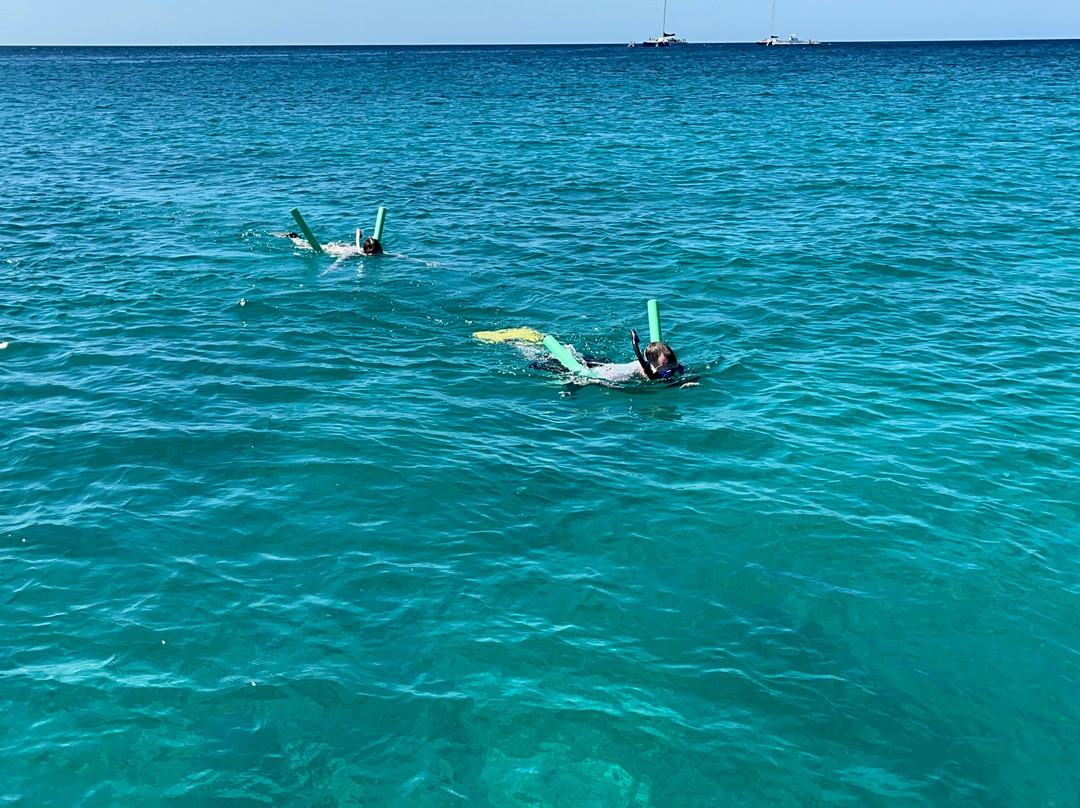 Private Snorkeling Aruba-棕榈/鹰海滩必去景点