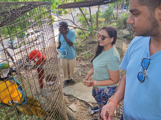 Genesis Nature Park & Art Gallery-多巴哥必去景点