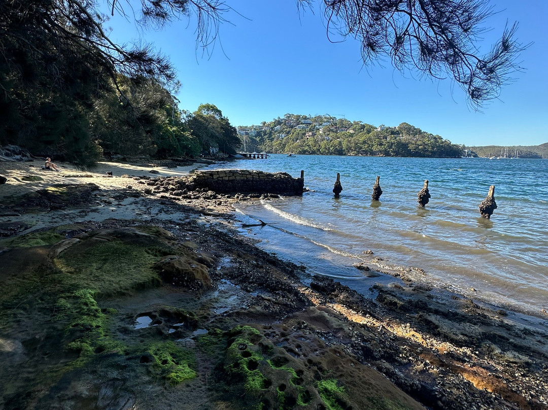 Clive Park-Northbridge必去景点