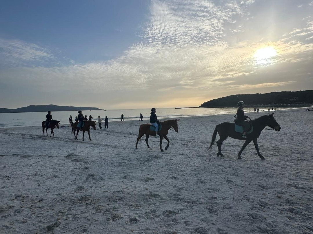 Centro Ippico Meurreddus a Cuaddu-San Giovanni Suergiu必去景点