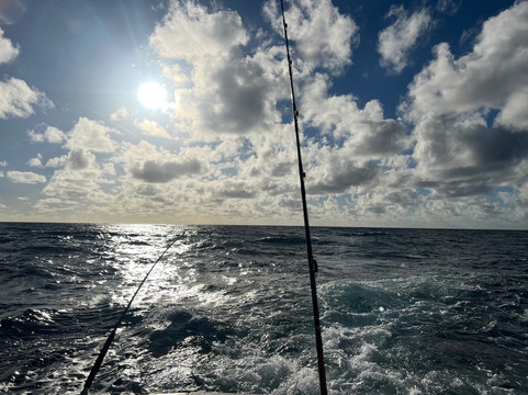 Fishing Headquarters-劳德代尔堡必去景点