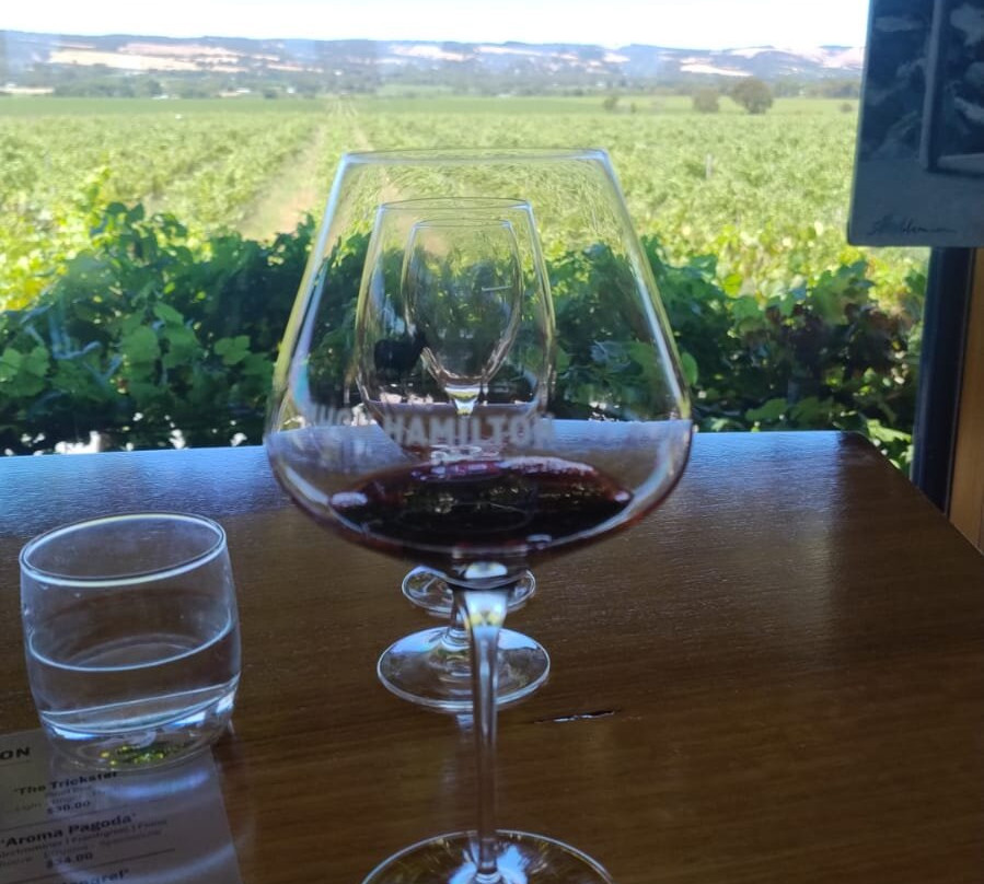 Hugh Hamilton Wines-麦克拉伦谷必去景点