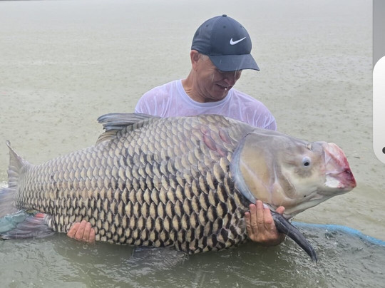 Jurassic Mountain Resort主图