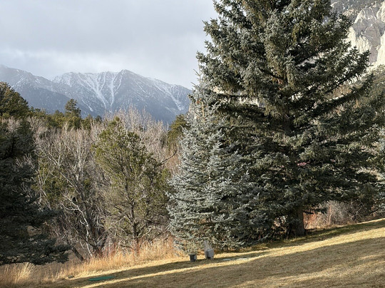 Woodland Motel主图