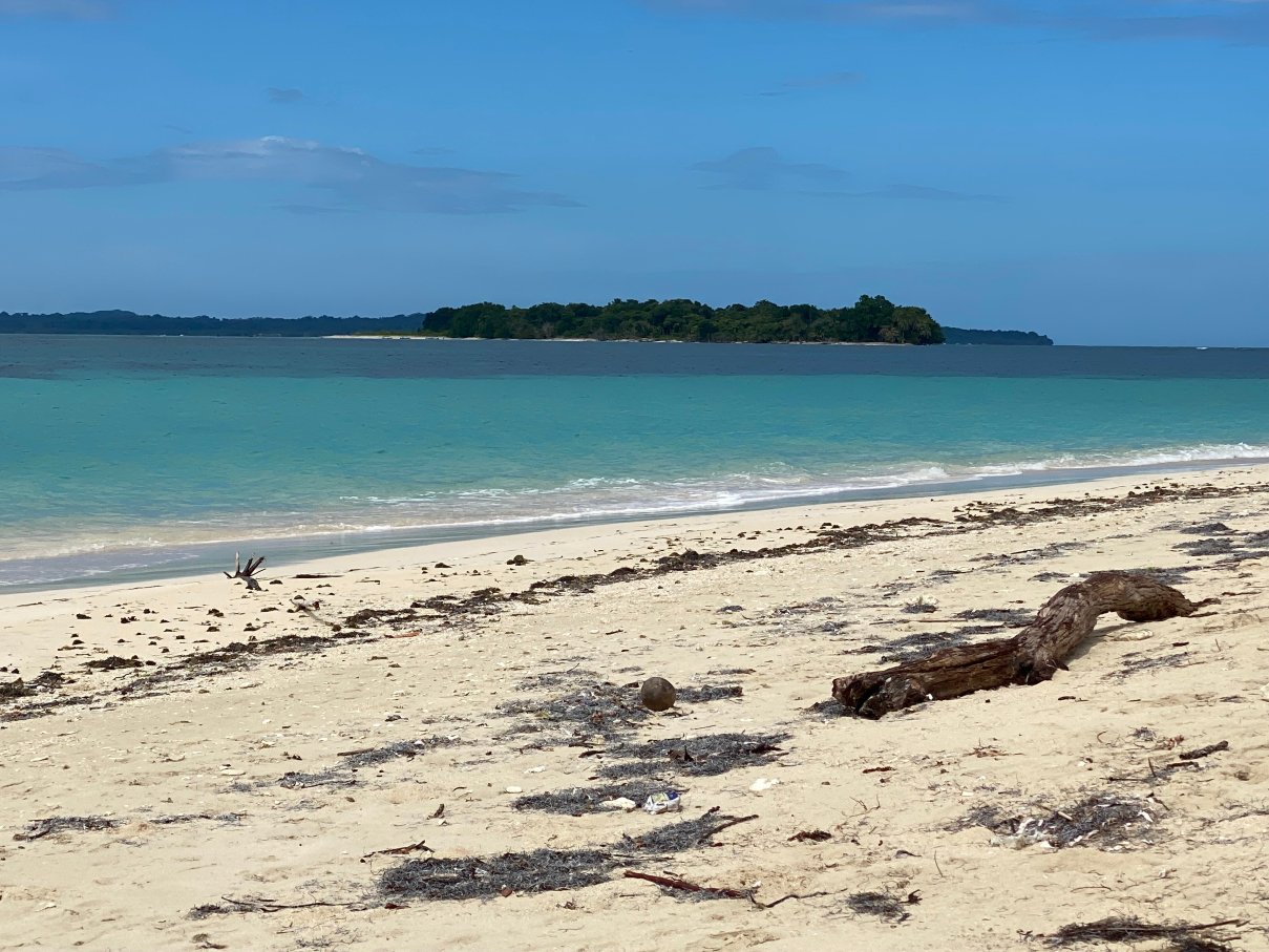 Tranquilo Bay Eco Adventure Lodge-官方