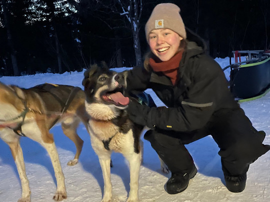 Kvaløya Husky-特罗姆瑟必去景点