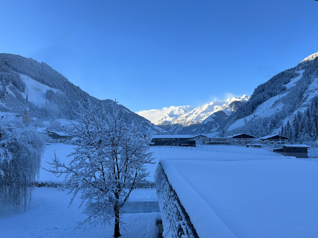 Hotel Rauriserhof主图