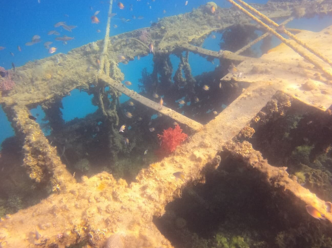 Delfinausflug Mit MO-赫尔格达必去景点