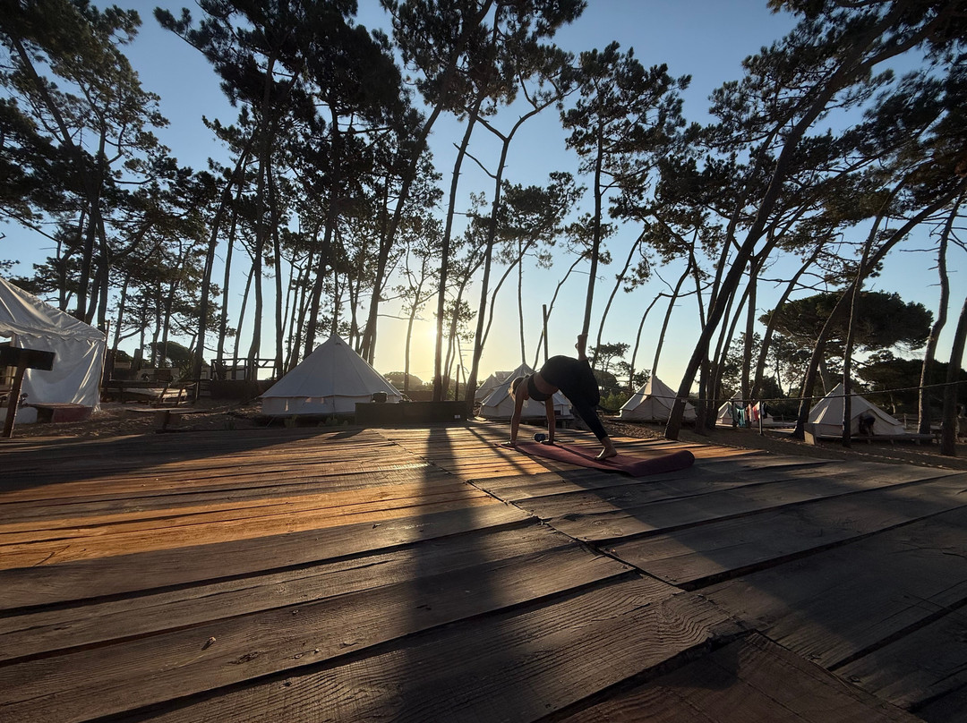 Wavy Surf Camp