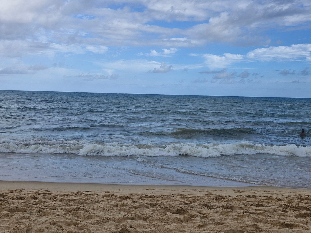 Pitinga Beach-Arraial d'Ajuda必去景点