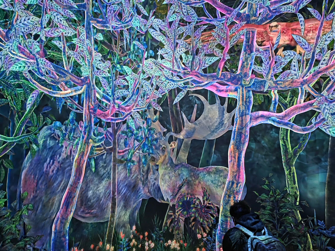 teamLab Planets TOKYO-Toyosu必去景点