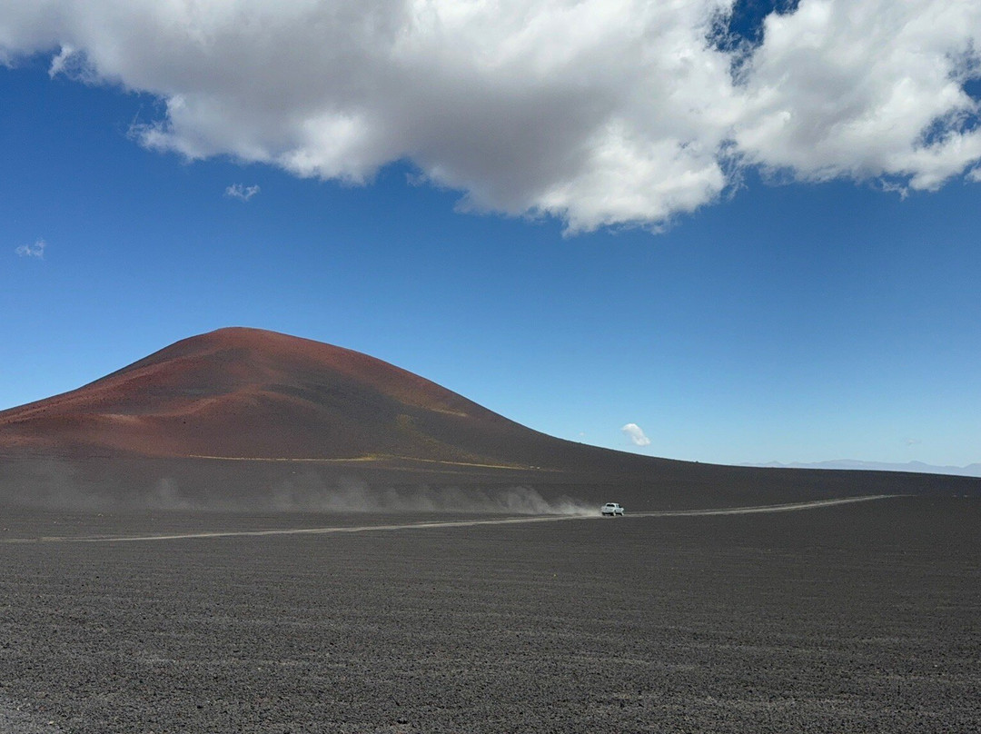 Reserva Provincial La Payunia-Malargue必去景点