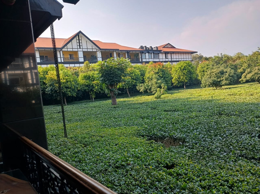 MAYFAIR Tea Resort主图