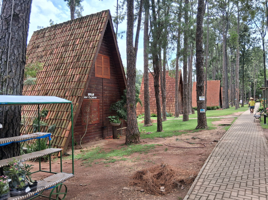 Parque Van Gogh-Holambra必去景点