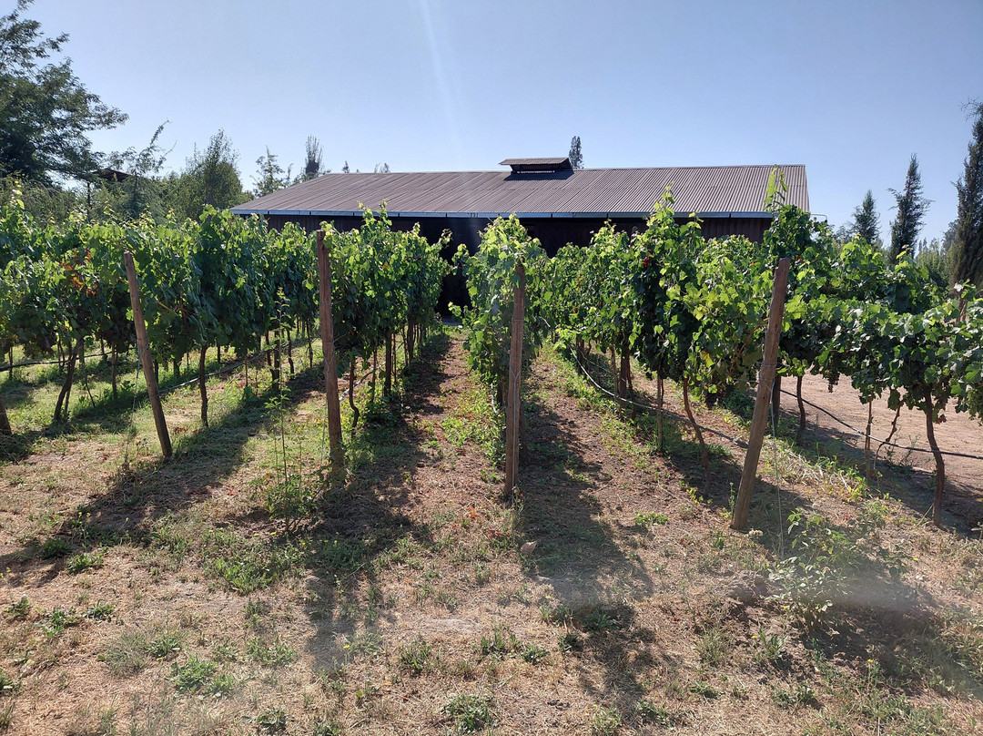 Campo La Quirinca-Isla de Maipo必去景点