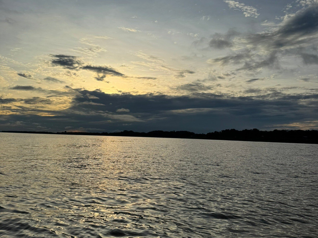 Rainforest Cruises-迈阿密海滩必去景点