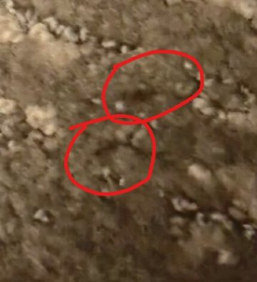 GLō Best Western Kanata Ottawa West-官方