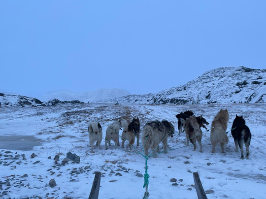 Diskobay Tours-伊卢利萨特必去景点