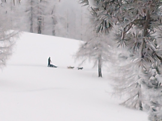 The Husky Experience Sestriere-Sestriere必去景点