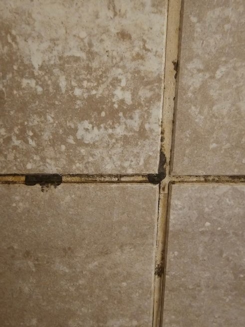 摄政公园酒店-官方