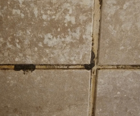 摄政公园酒店主图