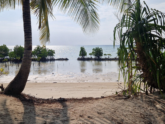 Dune Aurora Liveaboard-沙努尔必去景点