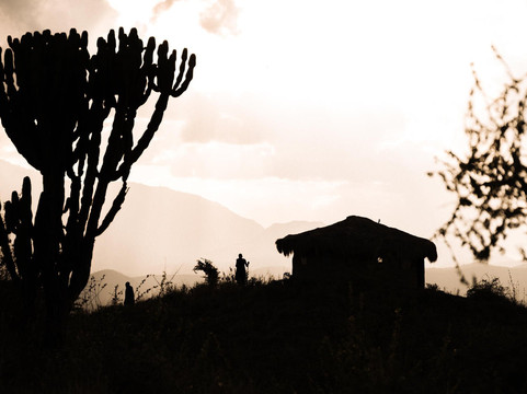 Arusha Car Rental & Safaris-阿鲁沙必去景点