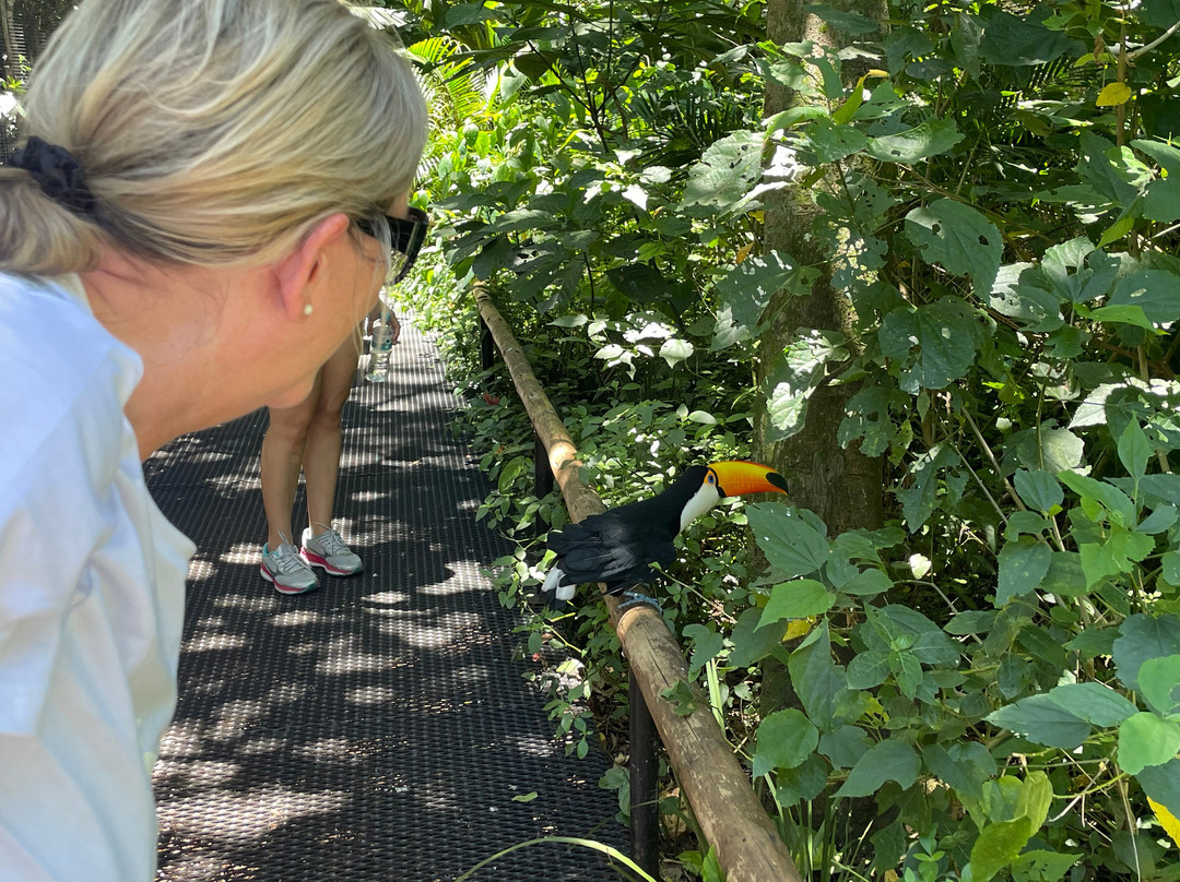 Iguassu Guide-伊瓜苏必去景点