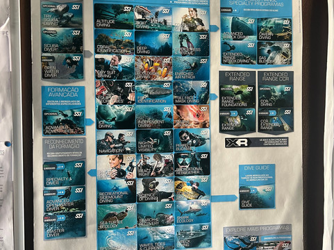 Mero Diving Center-Canico必去景点