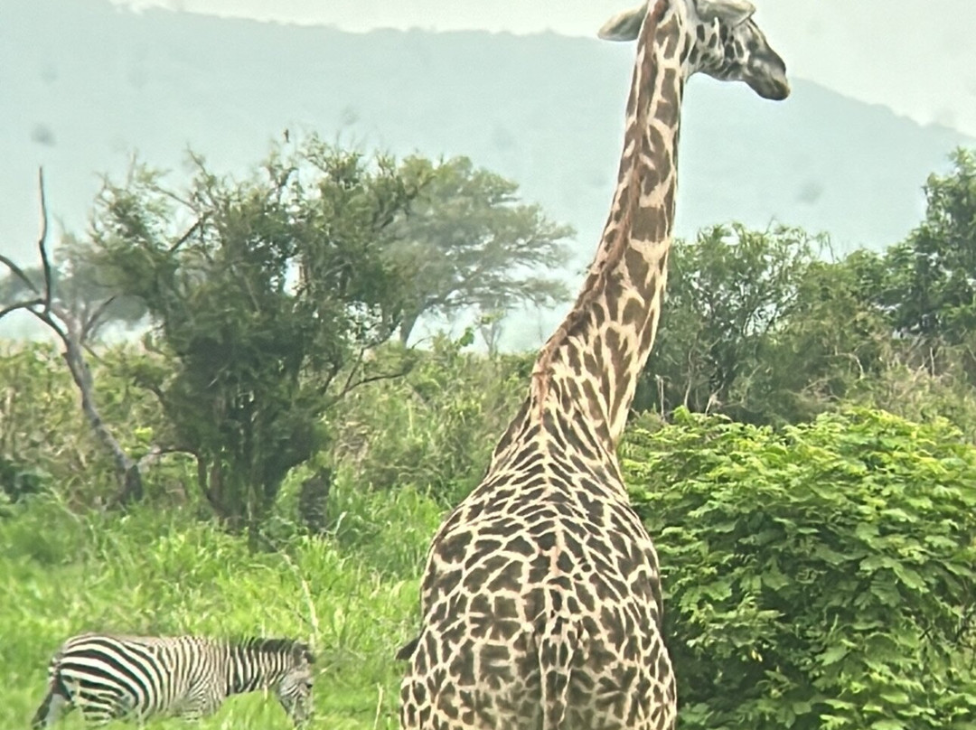 Marmara Holidays-Dar es Salaam必去景点