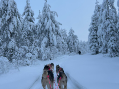 Oulanka Aventure Arctic-Salla必去景点