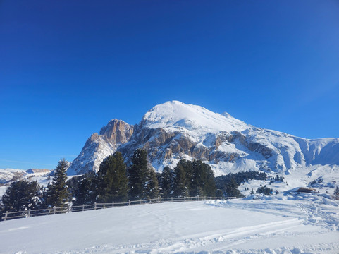 Alpe di Siusi-Alpe di Siusi必去景点