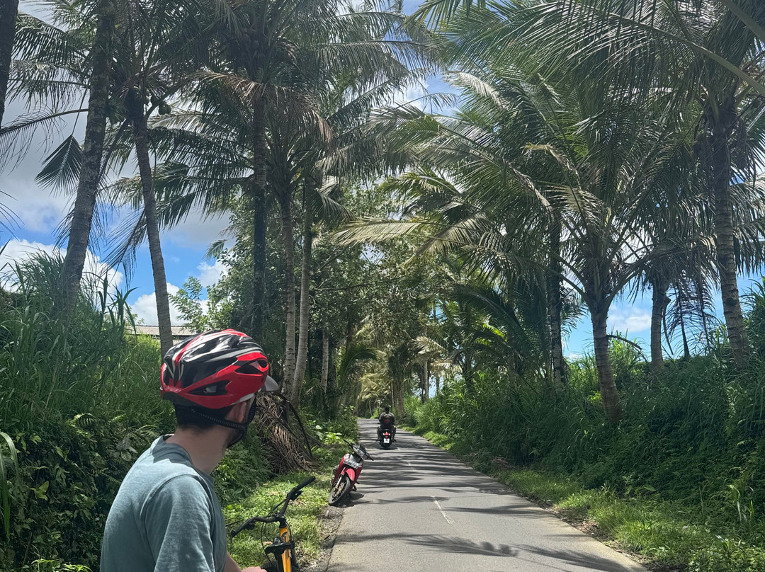 Bali Fun Bike Adventure-Pejeng Kaja必去景点