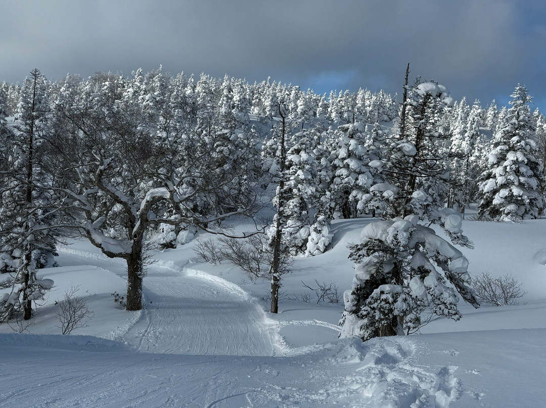 Amihari Onsen Ski Area-雫石町必去景点