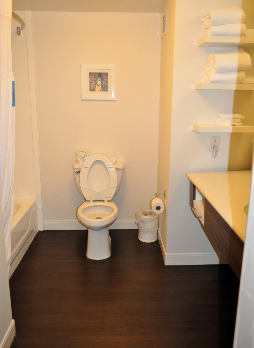 Hampton Inn Columbus/taylorsville/edinburgh-浴室