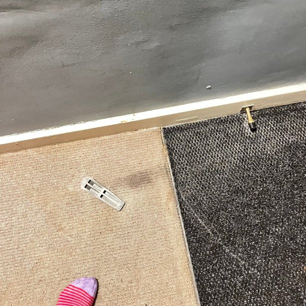 手中鸟酒店-官方