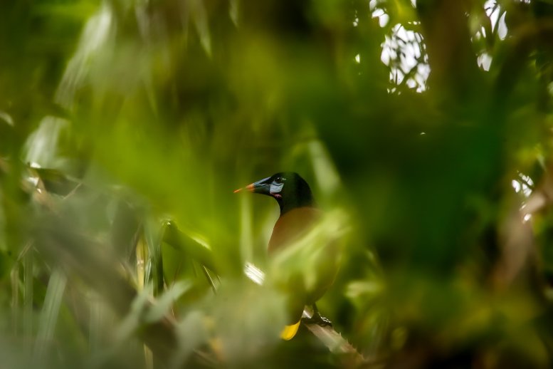 Tranquilo Bay Eco Adventure Lodge-浴室