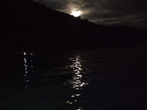 Joyride Charters LLC-韦斯特布鲁克必去景点