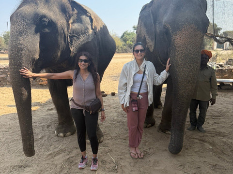 Dera Amer Wilderness Camp-Amer必去景点