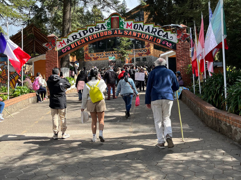 El Rosario Monarch Butterfly Preserve-中部墨西哥和墨西哥湾沿岸必去景点