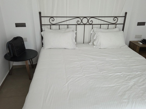 阿利亚松爱琴主图