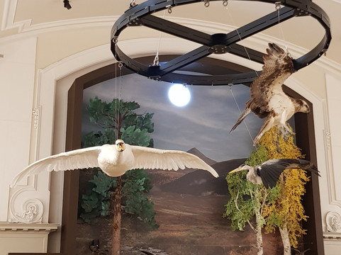 Perth Museum-珀斯必去景点