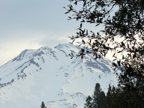 Cave Springs Resort主图