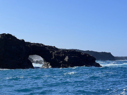 UnCruise Adventures-朱诺必去景点