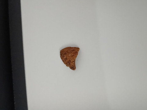 Chocolapagos Darwin's Favourites-阿约拉港必去景点