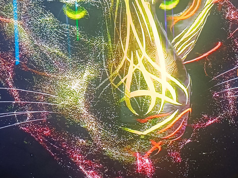 Moir - The Museum Of Infinite Realities-布鲁塞尔必去景点